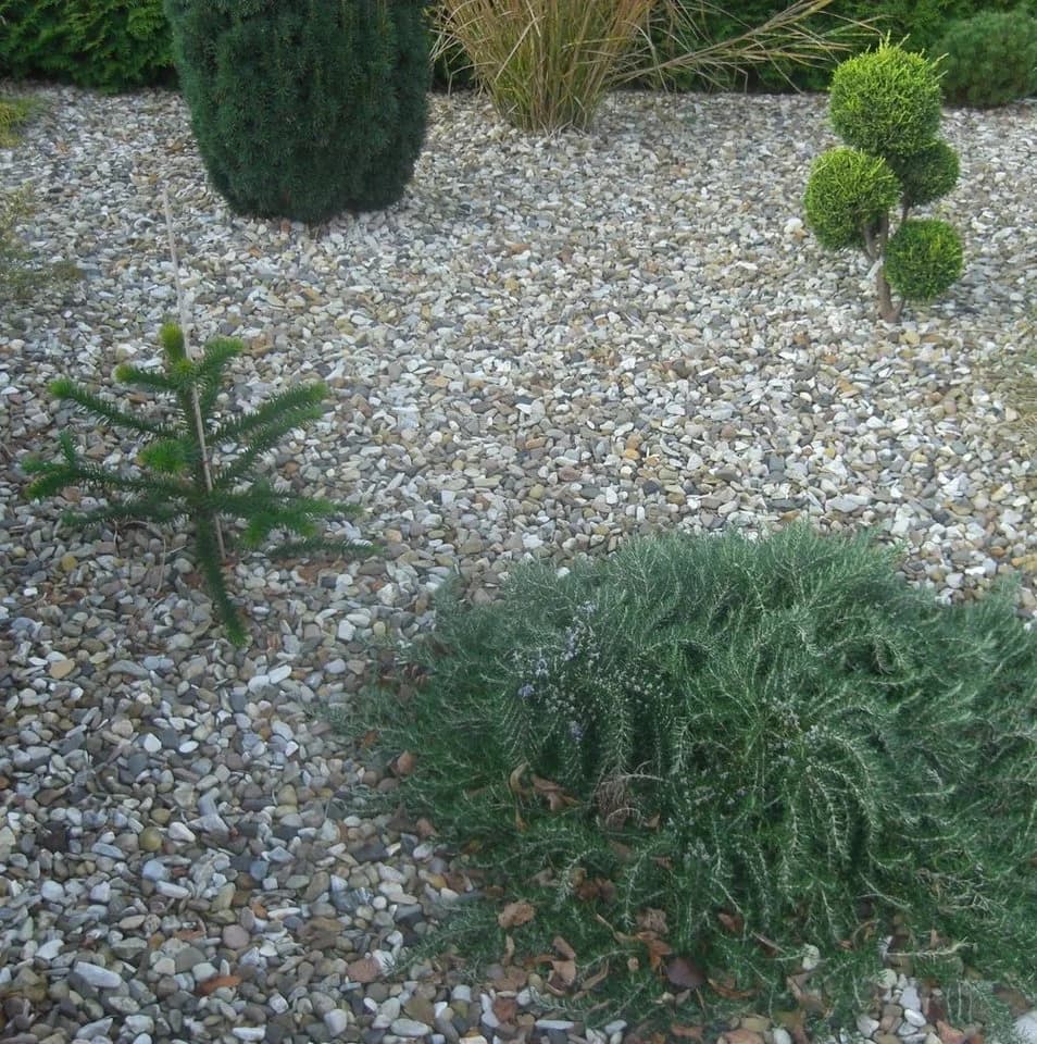 HaGa Unkrautvlies GARTENVLIES 50g/m² 1,2m x 10m UV-stabilisiert