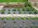 HaGa Unkrautvlies GARTENVLIES 50g/m² 1,2m x 10m UV-stabilisiert Bild 3