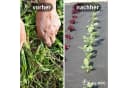 HaGa Unkrautvlies 200g/m² UV-Stabilisiert Gartenvlies Meterware Bild 3
