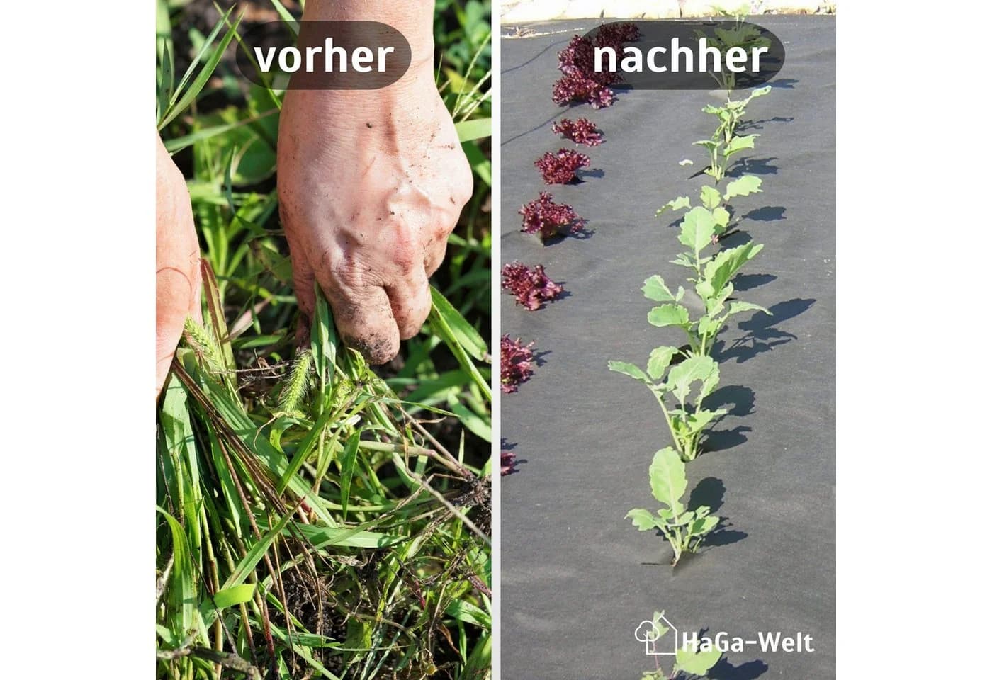 HaGa Unkrautvlies 200g/m² UV-Stabilisiert Gartenvlies Meterware - Bild 3