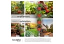 tectake Vertikalbeet mit 4 Pflanzkästen Platzsparend Bild 5