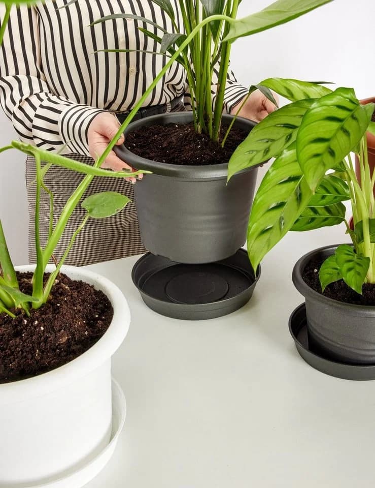 Garronda Blumentopf Set 3er Pack Weiß Kunststoff - Bild 3