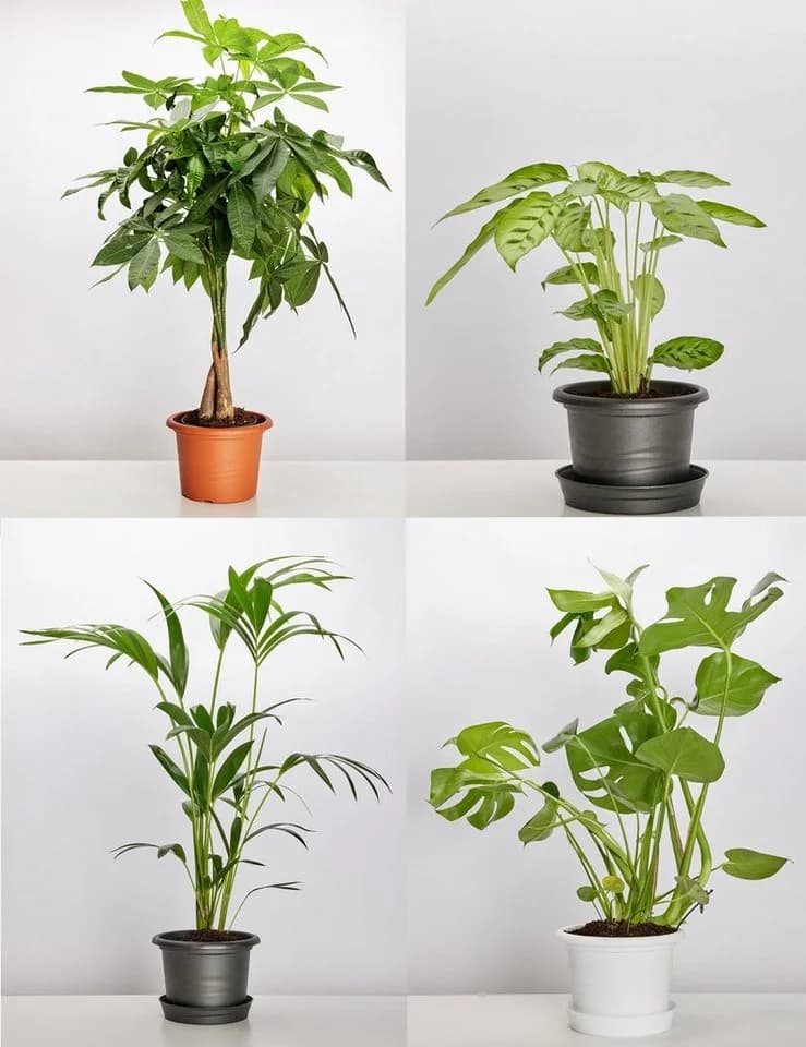 Garronda Blumentopf Set 3er Pack Weiß Kunststoff - Bild 4