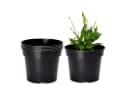 Garronda Blumentopf Kunststoff rund Schwarz (5 St) Bild 2