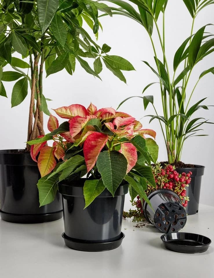 Garronda Blumentopf Kunststoff rund Schwarz (5 St) - Bild 5