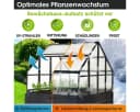 BRAST Hochbeet 2in1 mit Alu-Gewächshaus-Aufsatz Bild 4