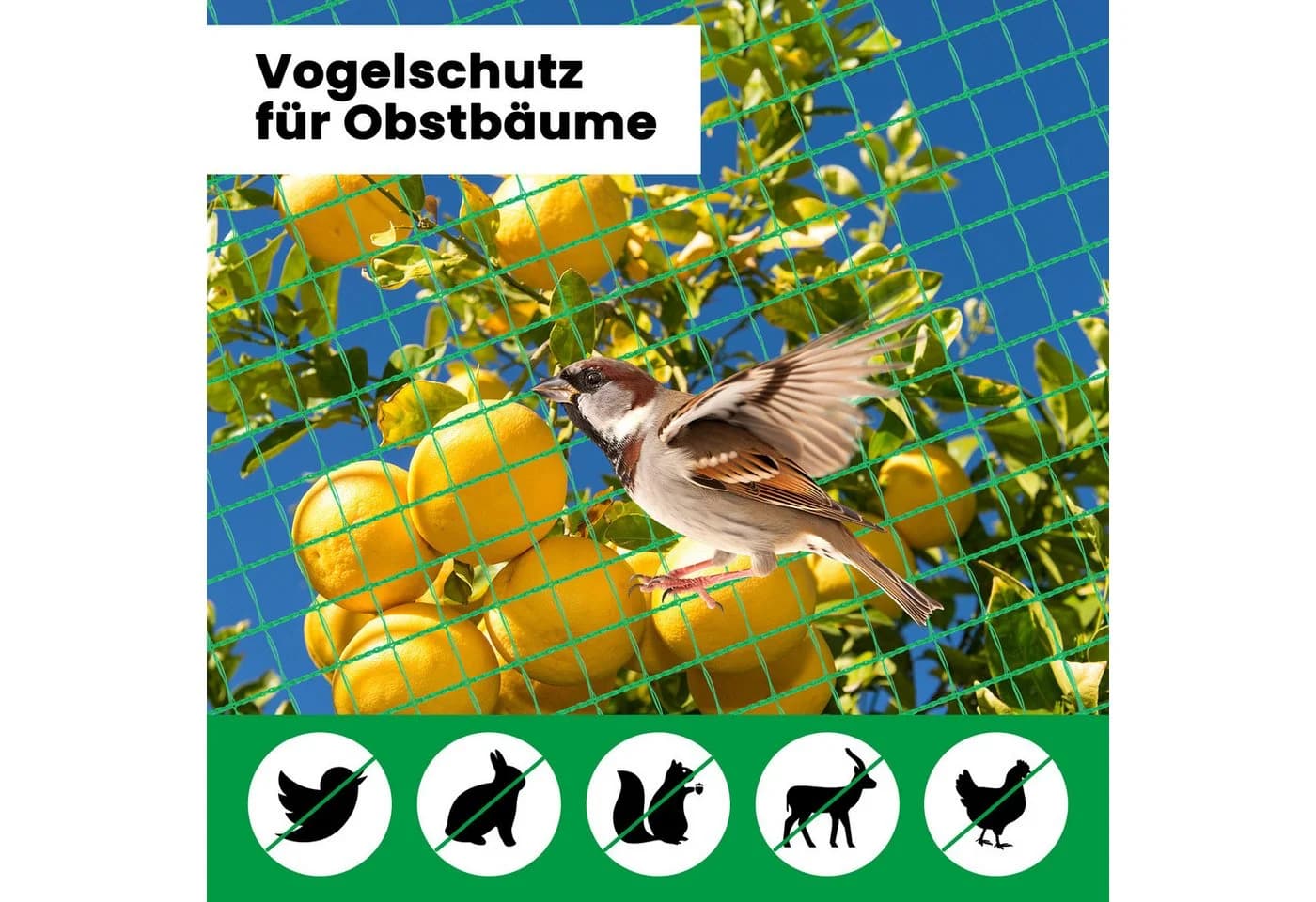 Woltu Gartenzaun Geflügelnetz PE 53 g/m² Grün - Bild 5