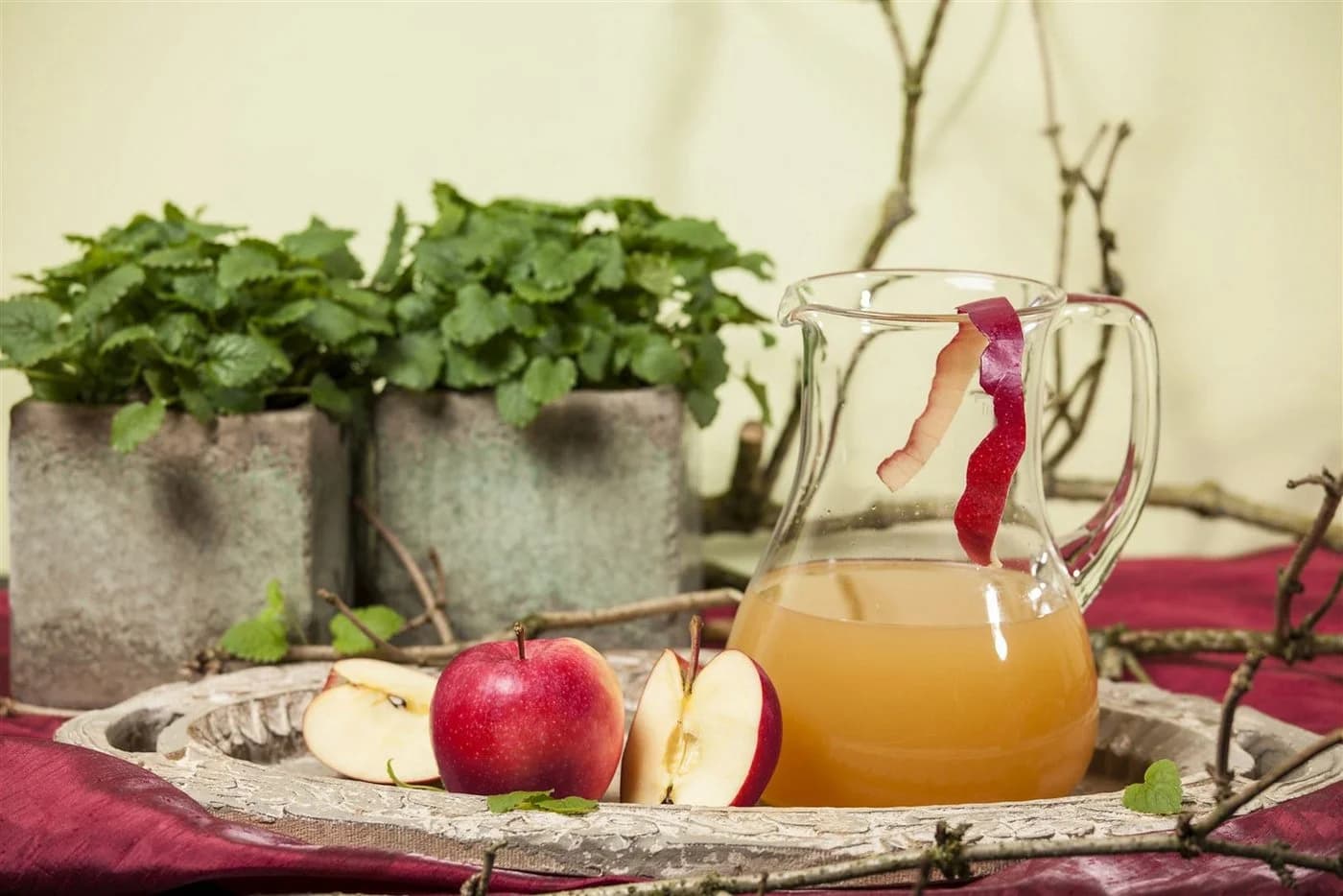 Pflanzen für Dich Obstpflanze Malus 'Gala' 1 St. Gala-Apfel Apfelbaum Süß Rotgestreift - Bild 3
