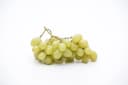 Vitis vinifera Lakemont Weinrebe Kernlos 80–100 cm Bild 3