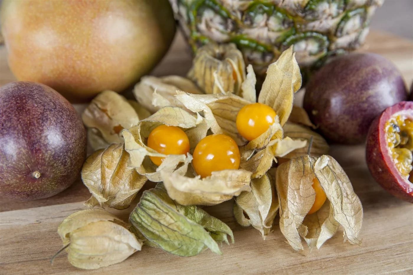 Pflanzen für Dich Staude Physalis peruviana Andenbeere Kapstachelbeere