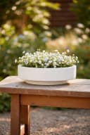 VIVANNO Pflanzschale Fiberglas ESCADA LOW Weiß Matt Bild 1