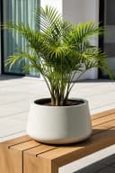 VIVANNO Blumentopf Fiberglas GORDO Creme Bild 1