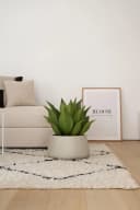 VIVANNO Blumentopf Fiberglas GORDO Creme Bild 5