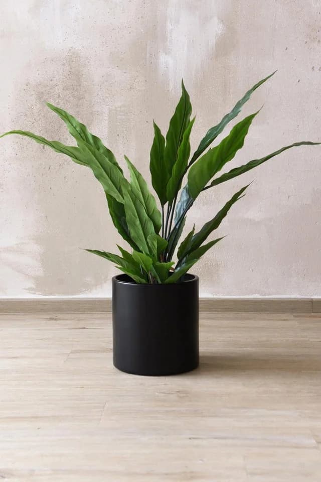VIVANNO Blumentopf Aluminium NEW RONDO Tiefschwarz Matt - Bild 3