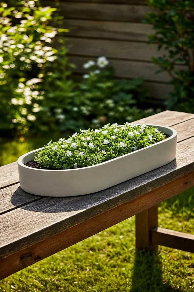 VIVANNO Pflanzschale SOLENA Betongrau Fiberglas