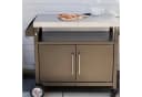 BBQ-Toro Grillwagen mit Arbeitsfläche und Stauraum Silber/Schwarz Bild 1