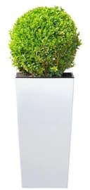 Prosperplast Blumentopf Urbi Square 325 Hochglanz Kunststoff Bild 1