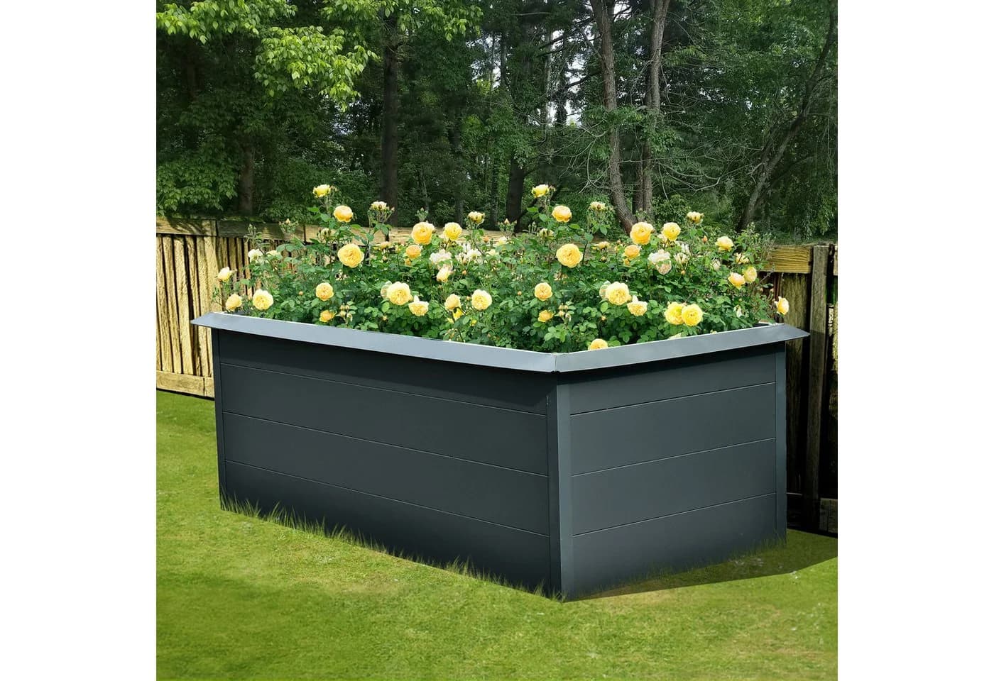 Konifera Hochbeet 200x100x76 cm Stahl - Bild 2