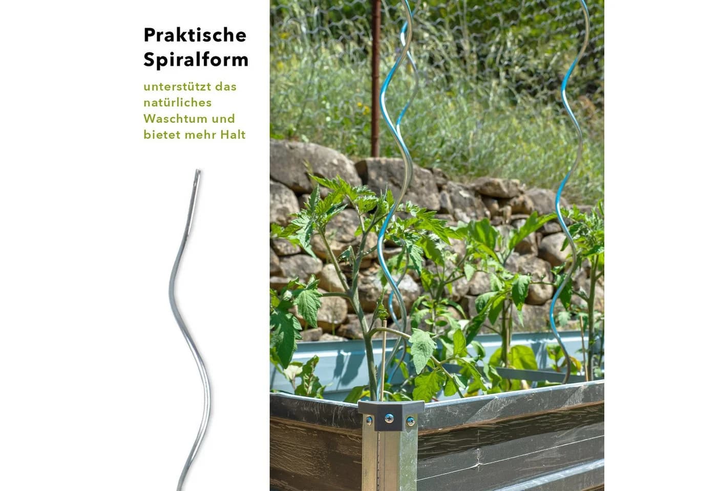 Karat Tomatenspiralstäbe voll verzinkt Rankstab Garten 1,8m