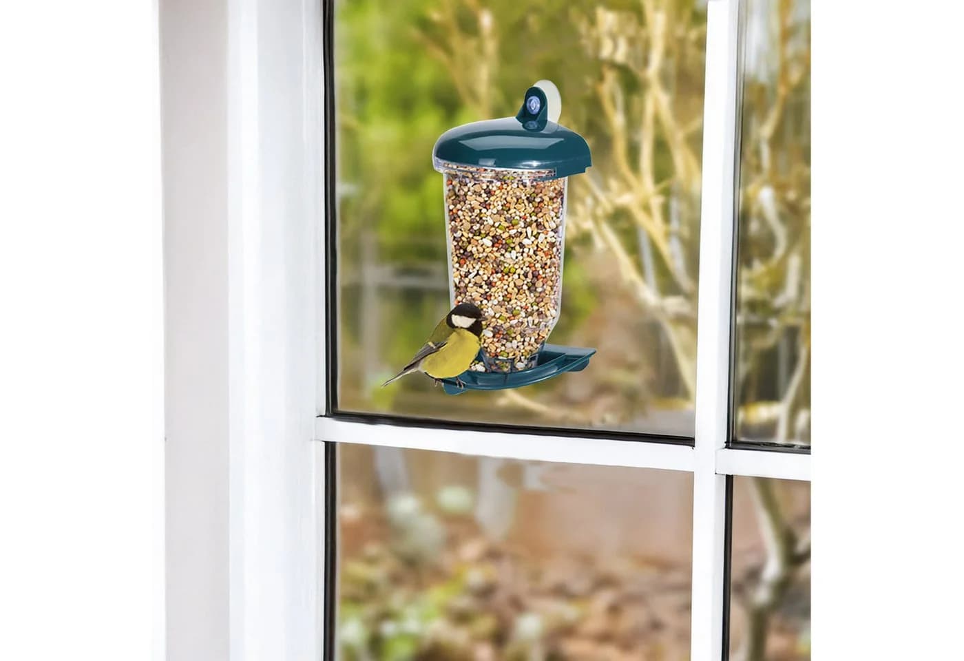 Spetebo Fenster Futterhäuschen für Vögel 2er Set - Bild 4