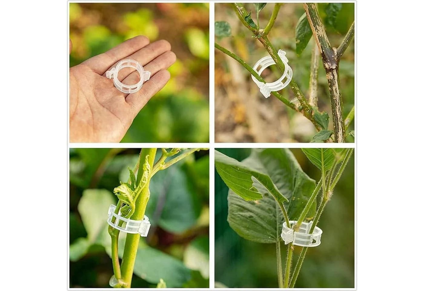 LuxusKollektion Tomatenhaken 18er Set Metall mit Nylon-Schnur & Clips - Bild 5