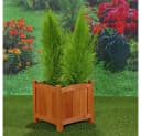Mucola Pflanzkübel Blumentopf Fichtenholz Bild 1