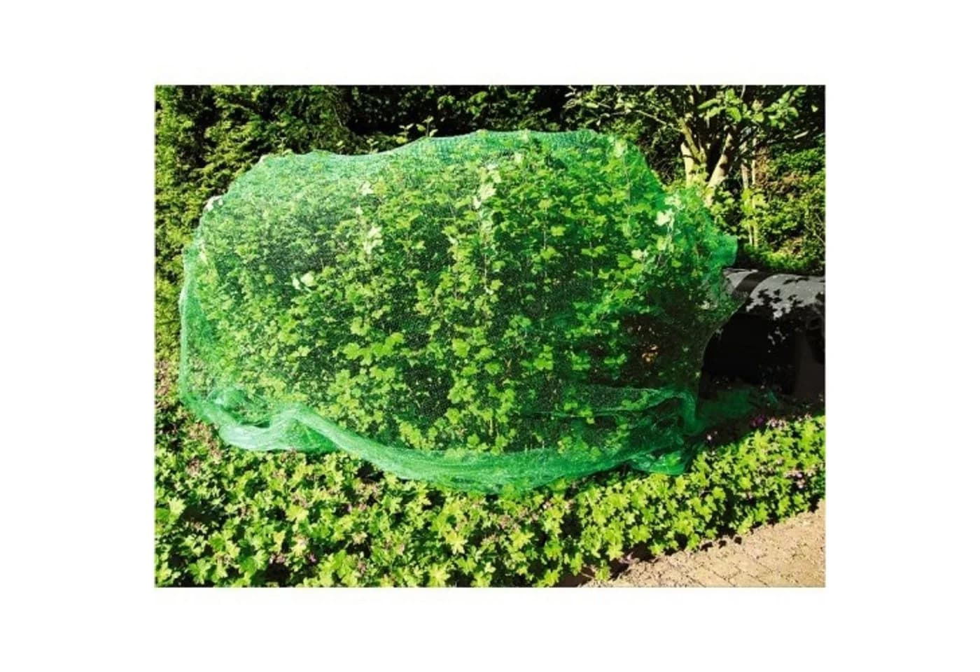 BURI Vogelschutznetz Grün 8x8m UV-resistent PE