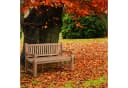 CLP Gartenbank Teakbank Jackson V2 aus wetterfestem Teakholz Bild 5