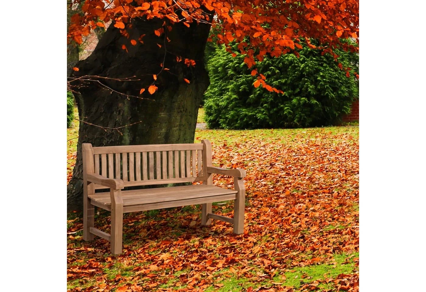 CLP Gartenbank Teakbank Jackson V2 aus wetterfestem Teakholz - Bild 5