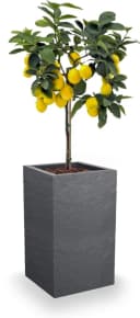 ONDIS24 Blumentopf Pflanzkübel Vulkan 36L Schieferoptik Bild 3