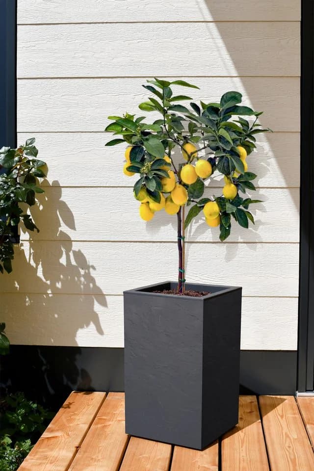 ONDIS24 Blumentopf Pflanzkübel Vulkan 36L Schieferoptik - Bild 4