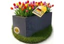 ONDIS24 Pflanzkübel Vulkano 50L Blumenkasten Anthrazit mit Wasserspeicher Bild 4