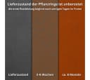 Czaja Pflanzring Ø 100 cm Edelrost Metall Gartenbeet Bild 3