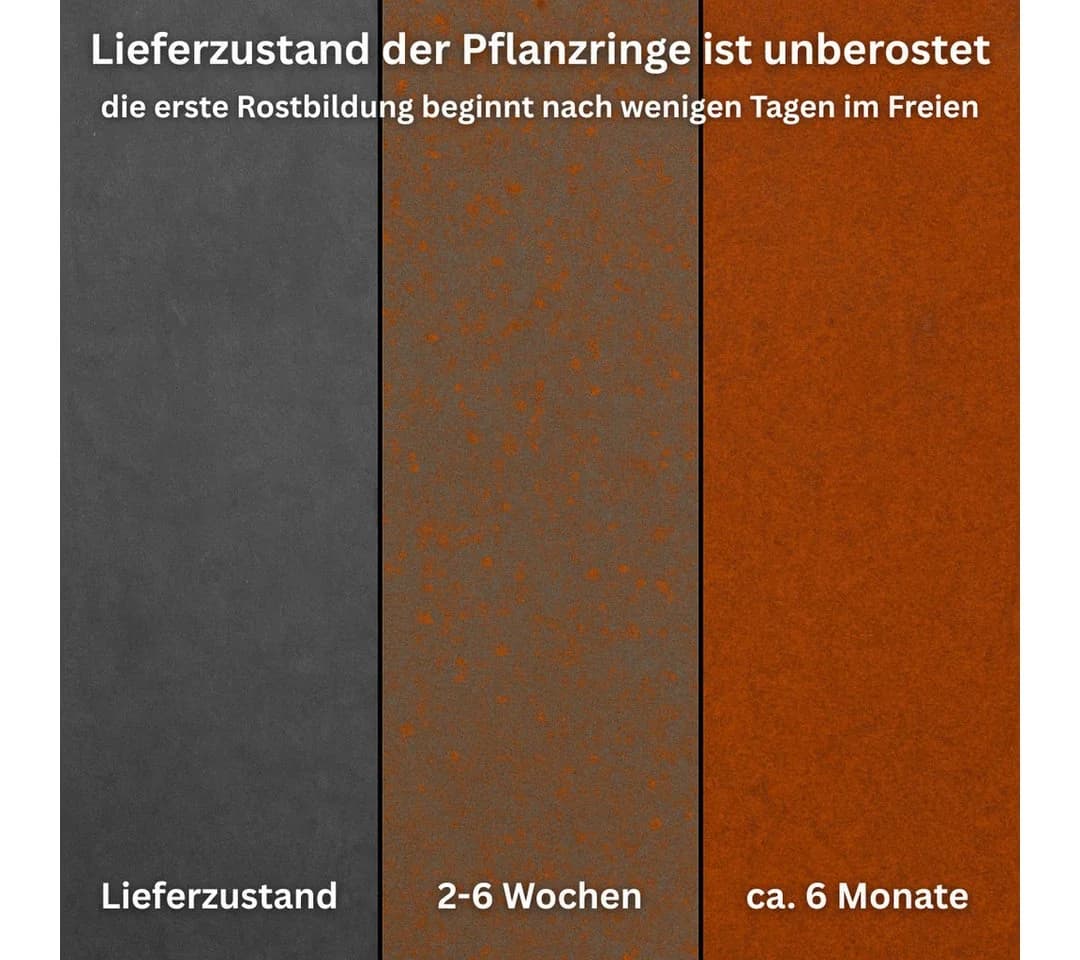 Czaja Pflanzring Ø 100 cm Edelrost Metall Gartenbeet - Bild 3