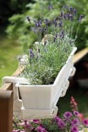 Annastore Balkonkasten Blumenkasten Rattan-Optik Anthrazit Bild 1