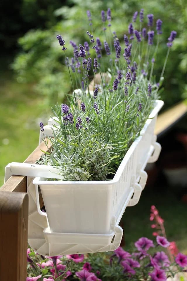 Annastore Balkonkasten Blumenkasten Rattan-Optik Anthrazit
