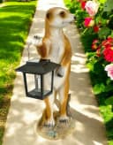 Kremers Schatzkiste Erdmännchen Eddy Gartenfigur mit Solarlaterne Bild 4