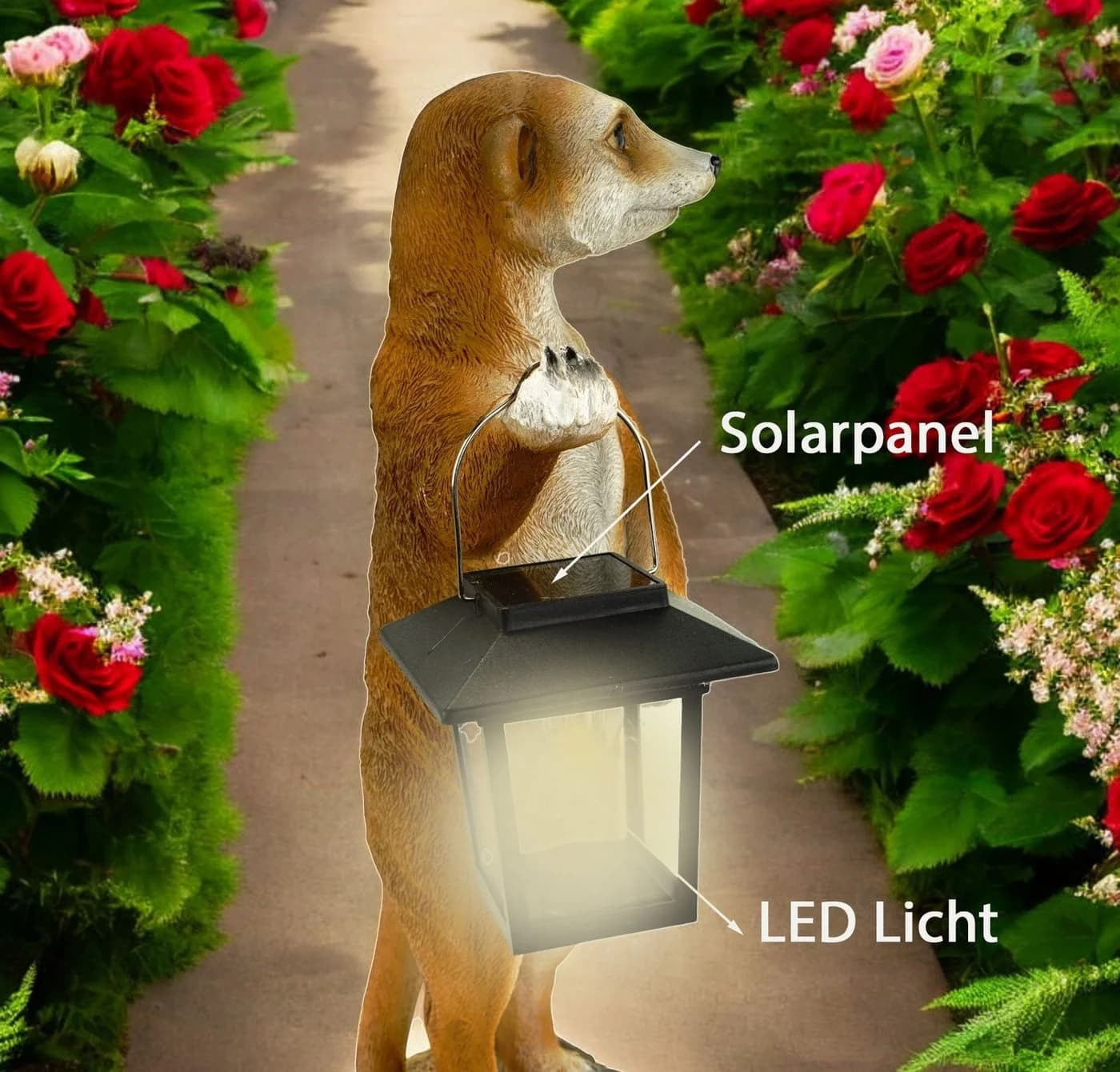 Kremers Schatzkiste Erdmännchen Eddy Gartenfigur mit Solarlaterne - Bild 5