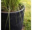 Pflanzwerk® Pflanzkübel CUP Premium Fiberglas Schwarz Frostbeständig Bild 1