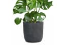 Pflanzwerk® Pflanzkübel CUP Premium Fiberglas Schwarz Frostbeständig Bild 2