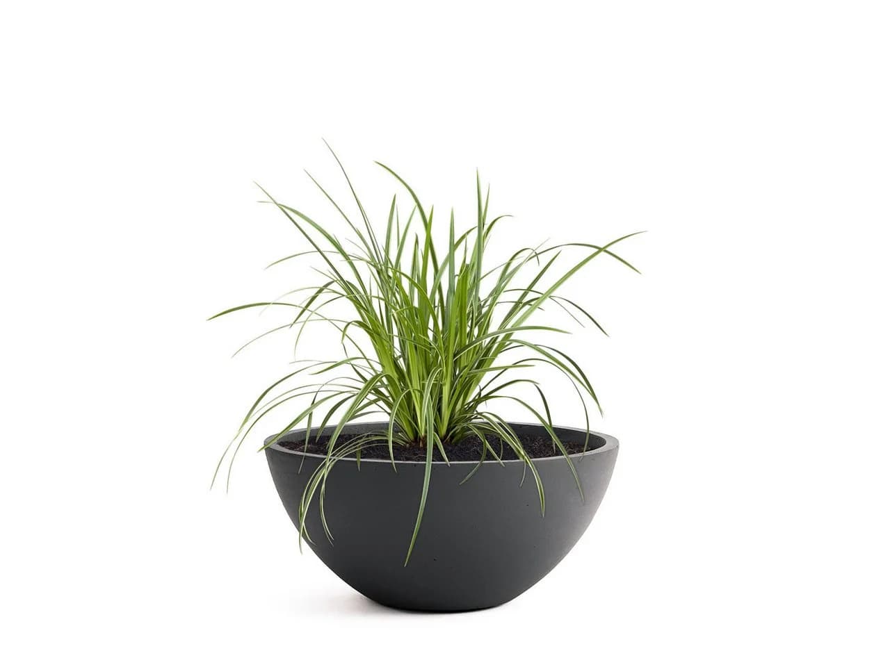 Pflanzwerk® Pflanzschale BOWL Fiberglas Frostbeständig - Bild 2