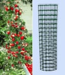 BALDUR Garten Kletter-Erdbeere 'Hummi®' mit Rankturm, Winterhart, Mehrjährig, Pflegeleicht Bild 1