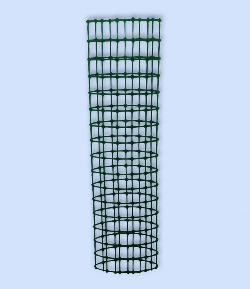 BALDUR Garten Kletter-Erdbeere 'Hummi®' mit Rankturm, Winterhart, Mehrjährig, Pflegeleicht - Bild 5