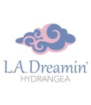 BALDUR Garten Zierstrauch Freiland-Hortensie 'L.A. Dreamin®' Bild 3