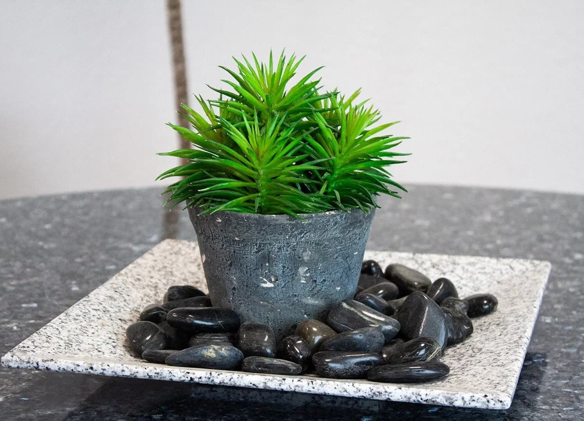 INTERGARDEN Zierkies schwarz poliert 20 kg, Kieselsteine 3-5 cm - Bild 5