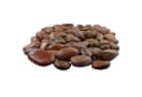 INTERGARDEN Zierkies Dekosteine rot poliert 20 kg, Kieselsteine Garten 5-8 cm Bild 2