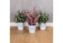 Levandeo® Kräutertopf 3er Set Hängender Blumentopf Metall Bild 4