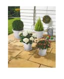 ALPFA Blumentopf Set Sydney weiß 8tlg. inkl. Untersetzer Bild 2