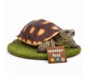 Topanbieter999 Gartenfigur Schildkröte Polyresin UV-beständig Bild 2