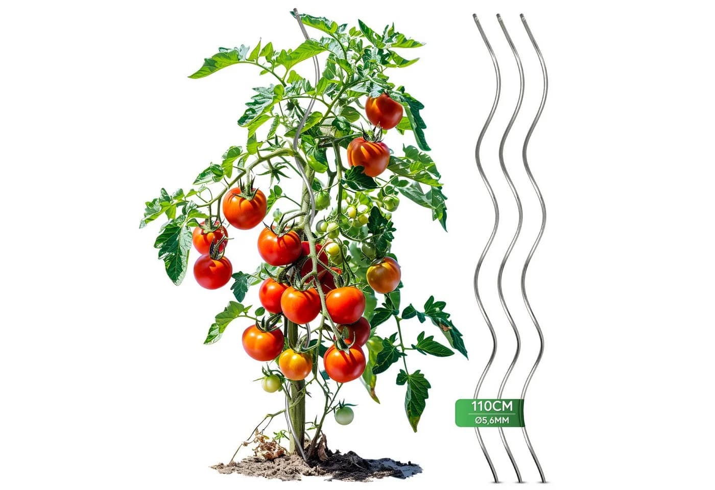 Gartenwelt Riegelsberger Tomatenspirale Stahl Silber